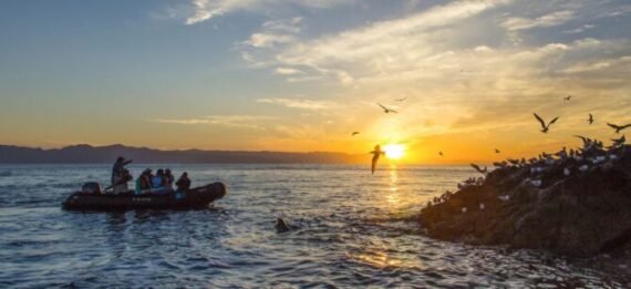 Featured Image for “Enjoy $1500 Per Guest on Select 2026 Voyages”