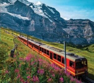 Featured Image for “All Aboard”