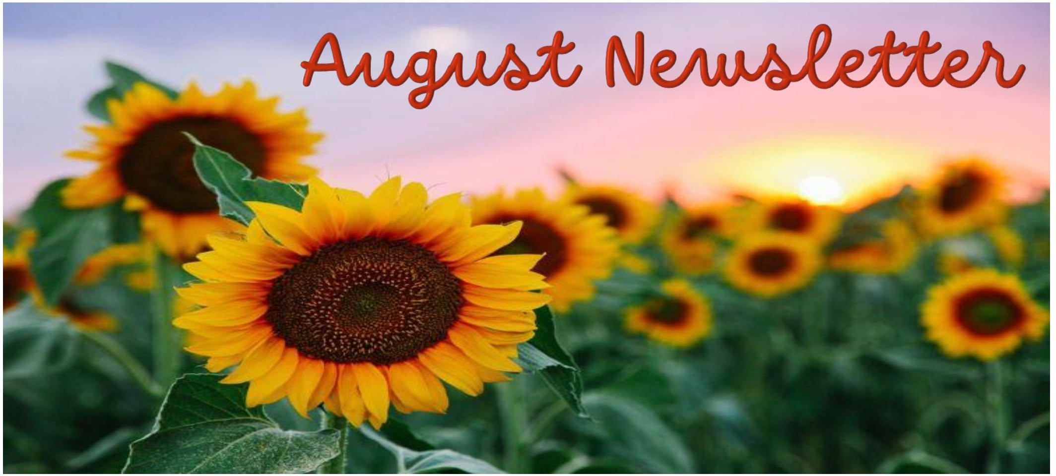 Featured image for “August Monthly Newsletter”
